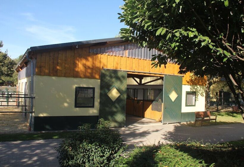 פנסיון Apartments Luisenhof