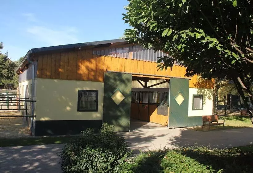 ペンション Apartments Luisenhof