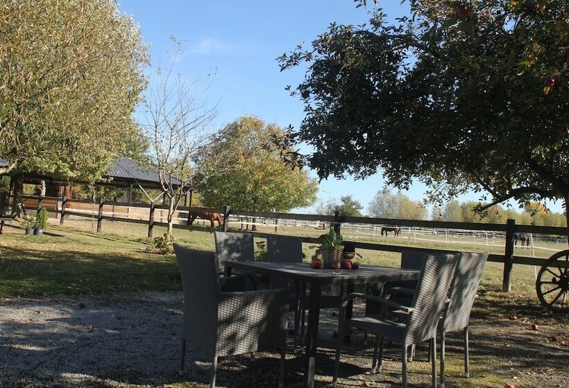 פנסיון Apartments Luisenhof