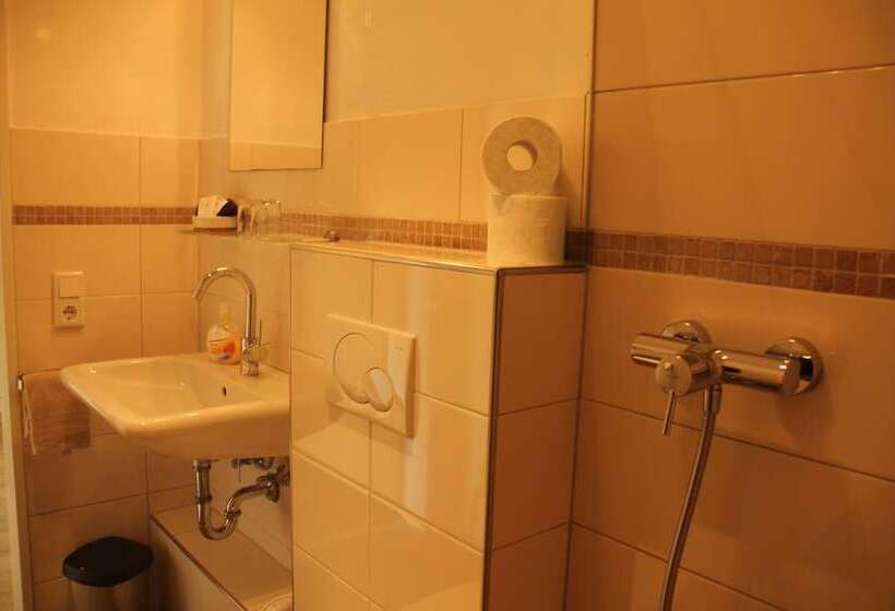 פנסיון Apartments Luisenhof