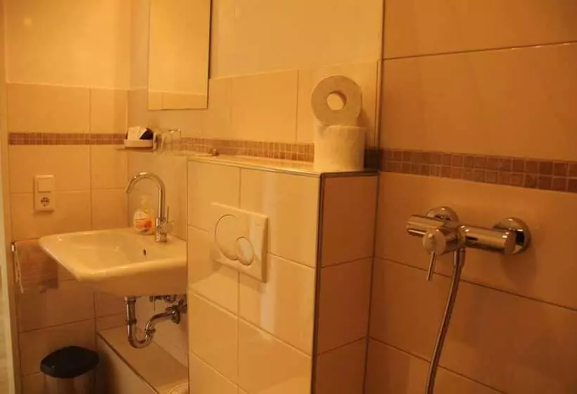 ペンション Apartments Luisenhof