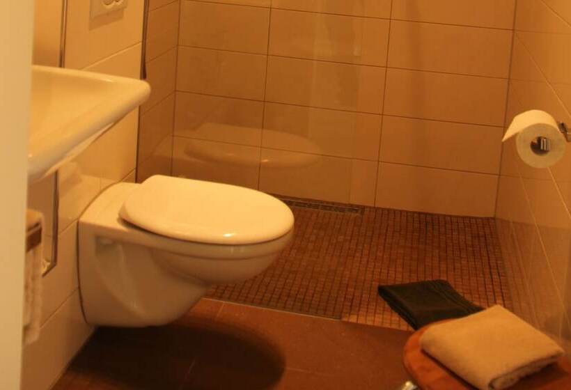 פנסיון Apartments Luisenhof