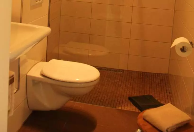 ペンション Apartments Luisenhof