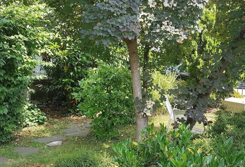 פנסיון A&s Ferienwohnungen Koblenzer Strasse