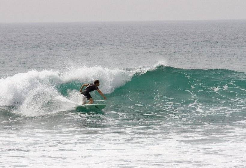 Villa Coconut   Hostel