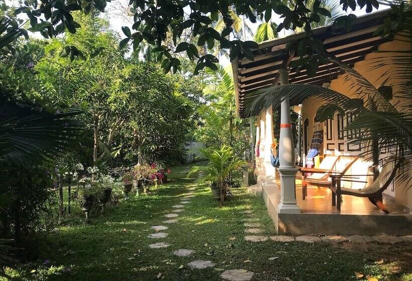 Villa Coconut   Hostel