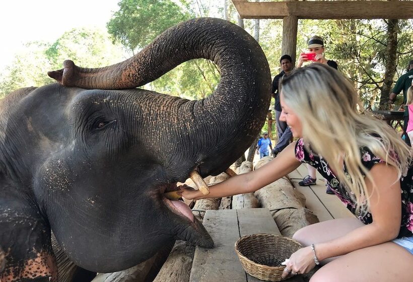 Villa Coconut   Hostel