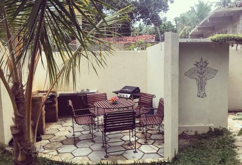 Villa Coconut   Hostel