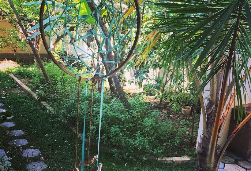 Villa Coconut   Hostel