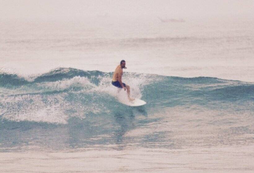 Villa Coconut   Hostel