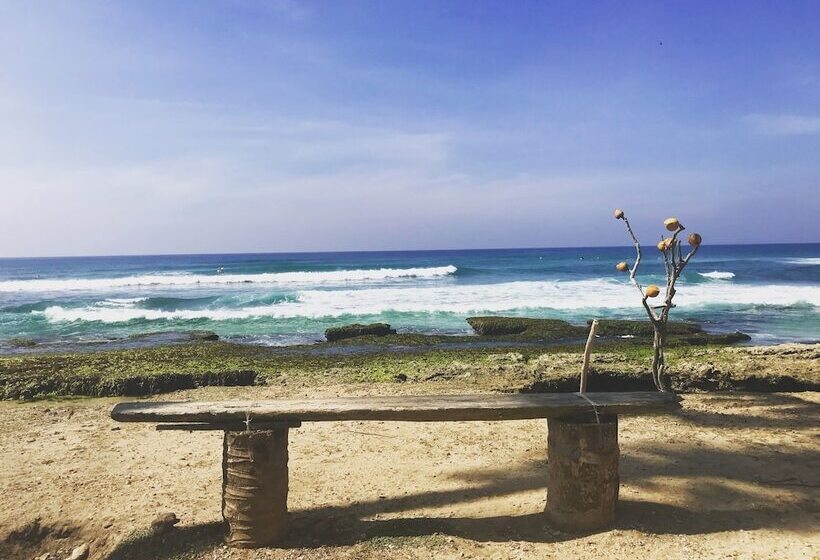 Villa Coconut   Hostel