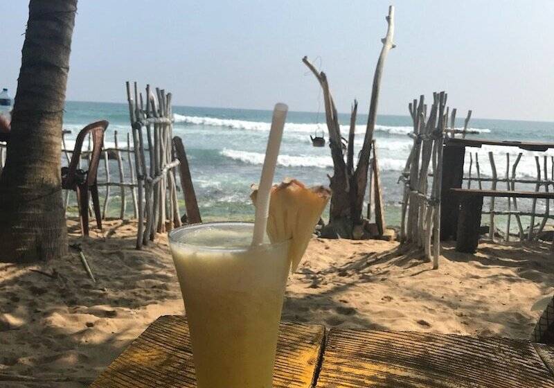 Villa Coconut   Hostel