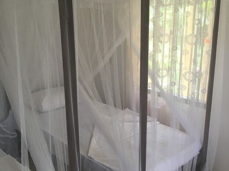 Villa Coconut   Hostel