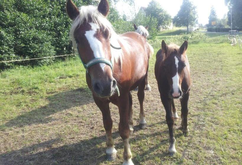 Hospedaria Am Neuhausbauernhof