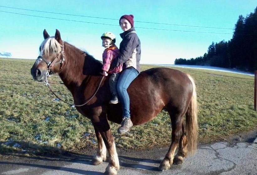 Hospedaria Am Neuhausbauernhof