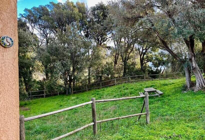 旅馆 Le Relais De Sisco