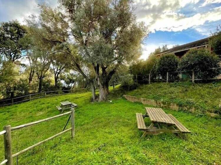 旅馆 Le Relais De Sisco