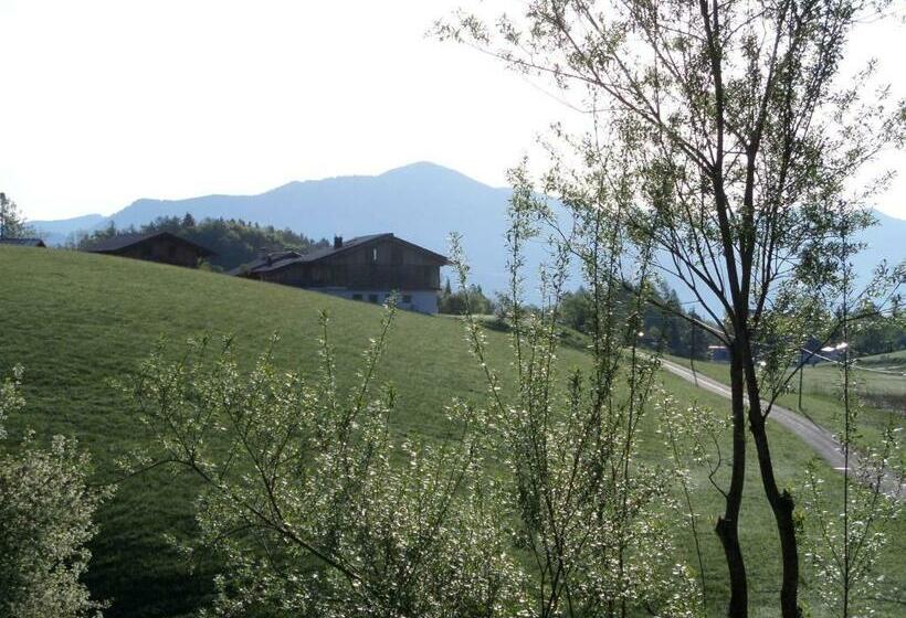 Bed and Breakfast Lehnhäusl Aschauer