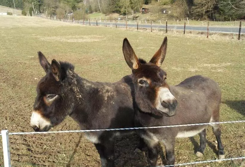 Hotelli Nettes Landhaus