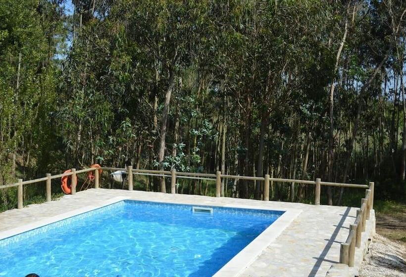 ペンション Alojamentos Dos Mangues