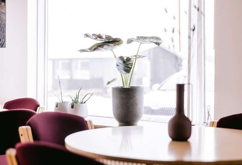 پانسیون Elda Guesthouse