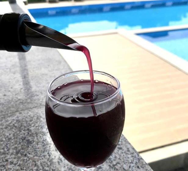 پانسیون Georgian Wine House