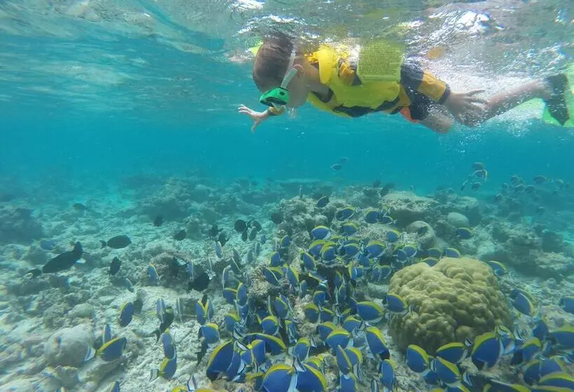 پانسیون Mariana Inn Maldives