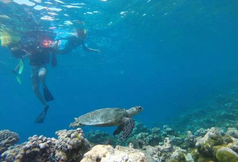 پانسیون Mariana Inn Maldives