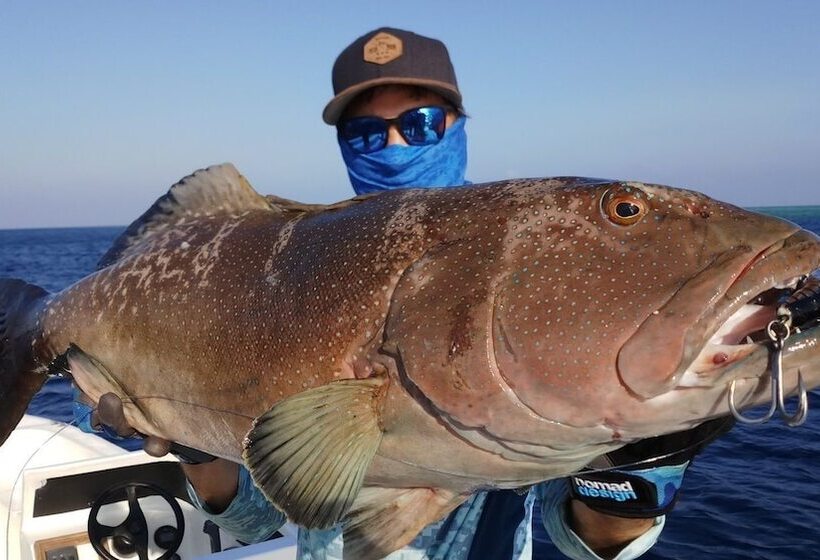 پانسیون Mariana Inn Maldives