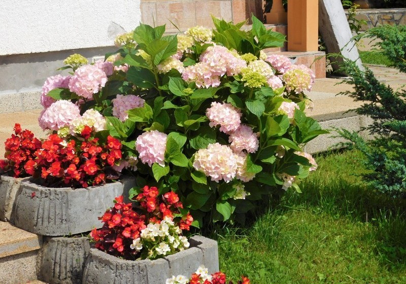 ホテル House Sara 2