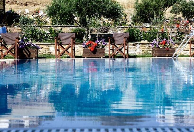 Argo Rooms & Studios