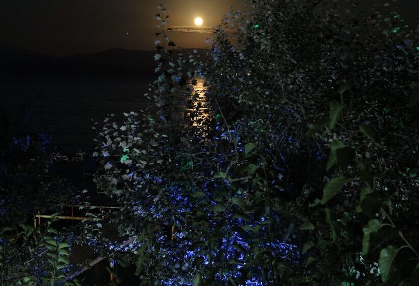 בית מלון כפרי Dassia Beach