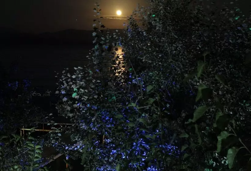 Hotelli Dassia Beach