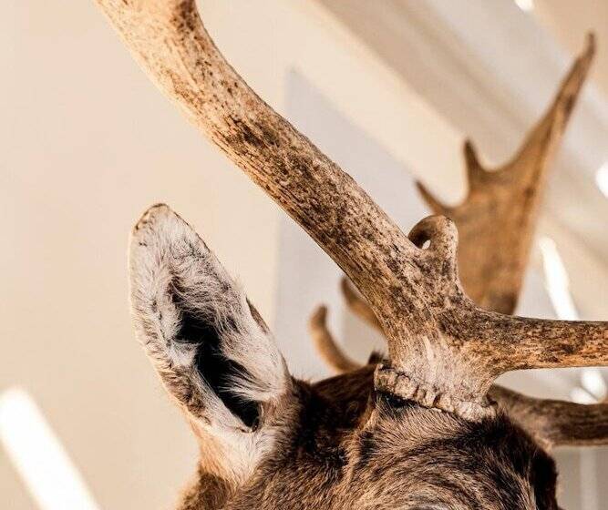 Hotelli Hirschen Am See