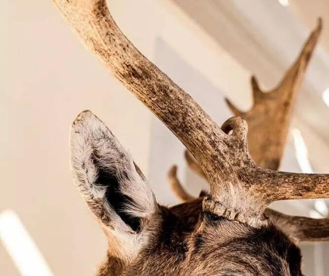 Hotel Hirschen Am See