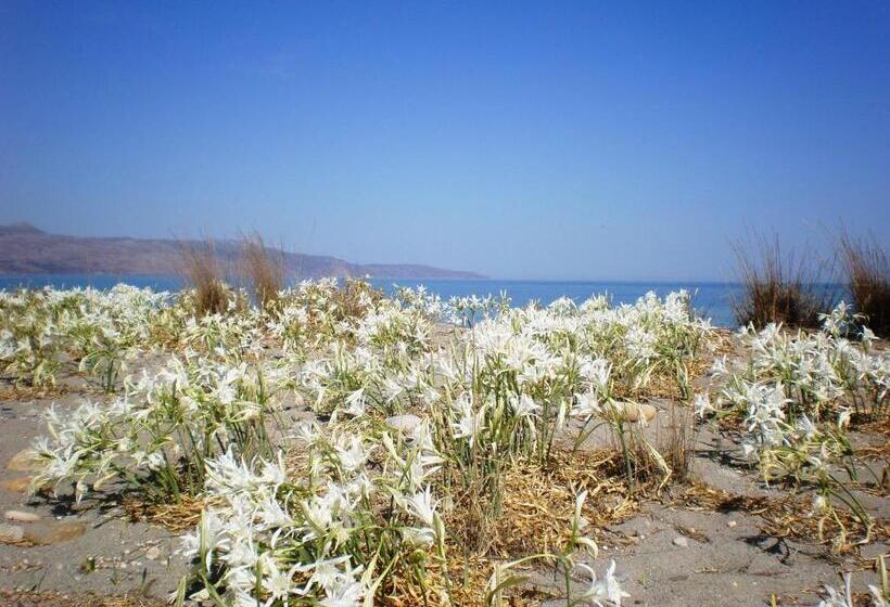 فندق Summer Lodge