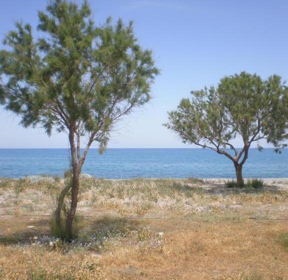 فندق Summer Lodge