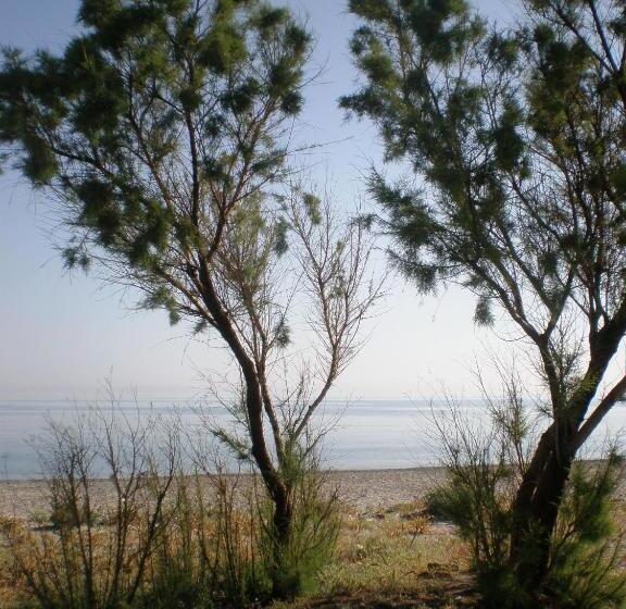 فندق Summer Lodge