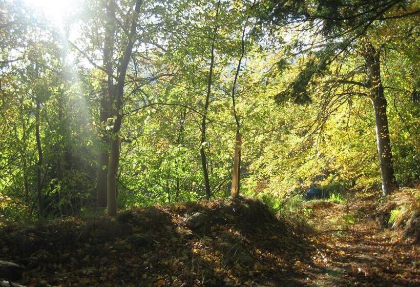 Loch Ness Lodge Hotel
