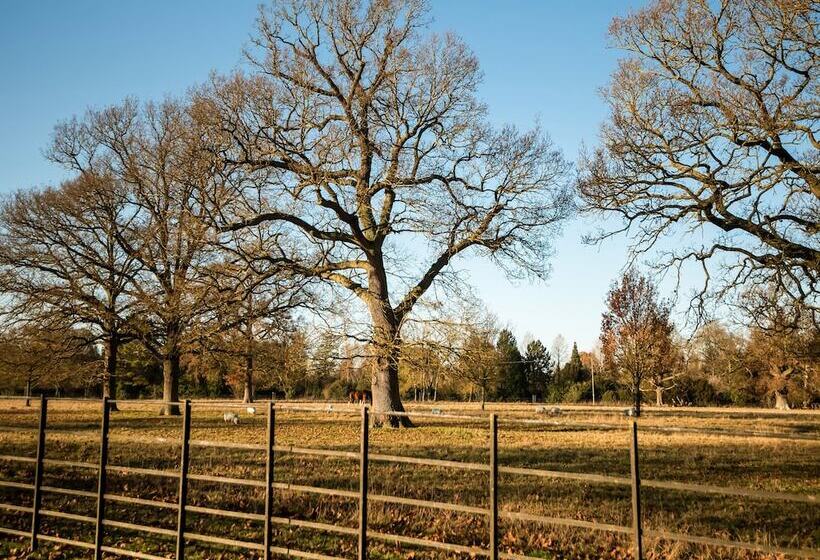 هتل Hardwicke Arms