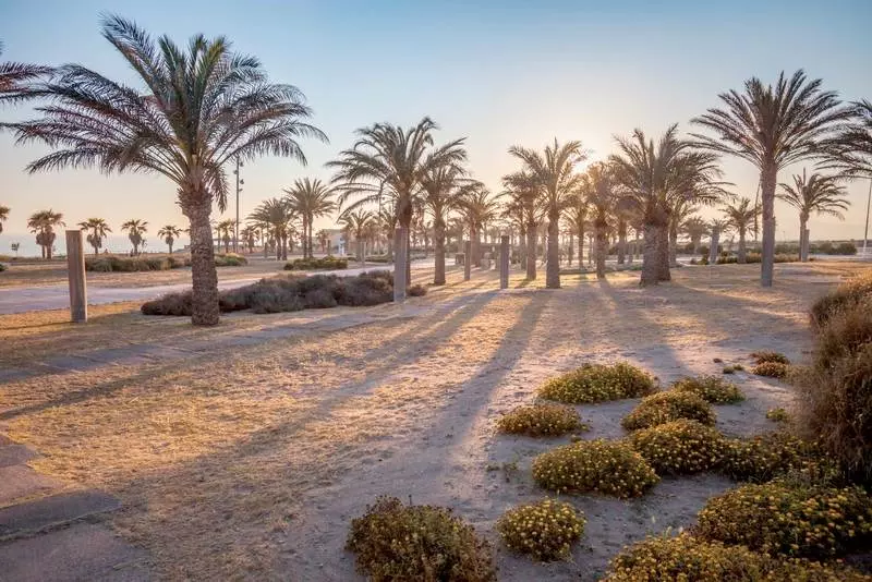 酒店 Barcelo Cabo de Gata