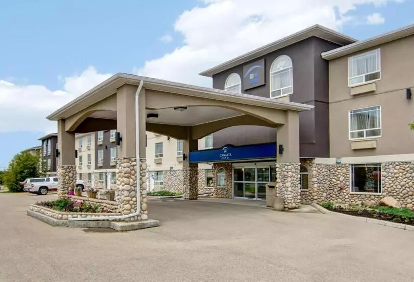 酒店 Canalta Rocky Mountain House