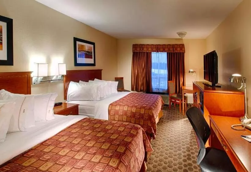 酒店 Canalta Rocky Mountain House