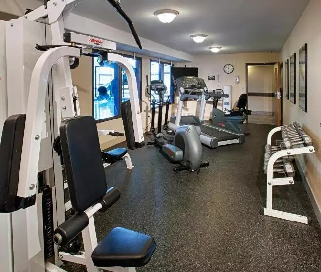 酒店 Canalta Rocky Mountain House