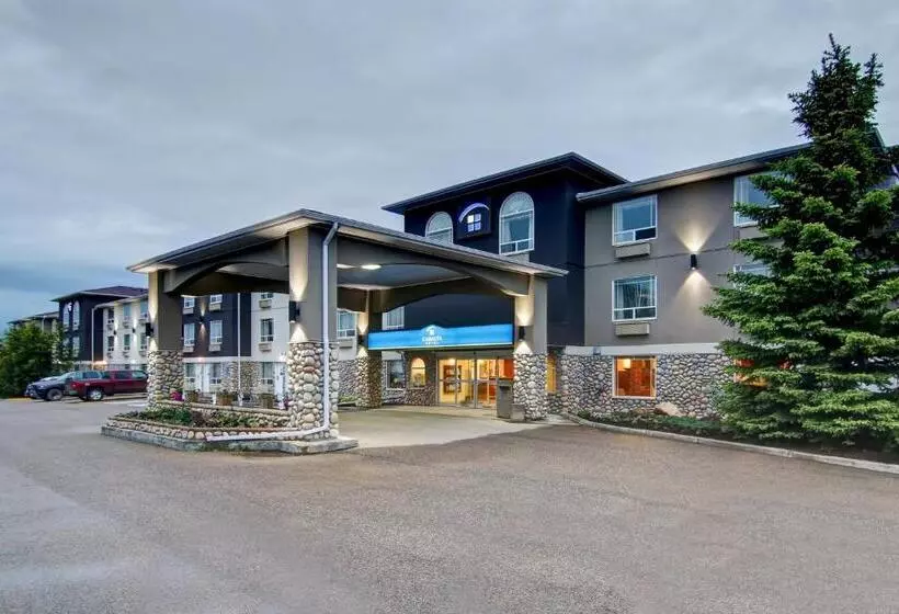 酒店 Canalta Rocky Mountain House