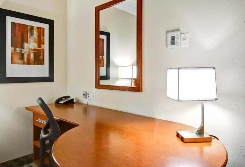 酒店 Canalta Rocky Mountain House