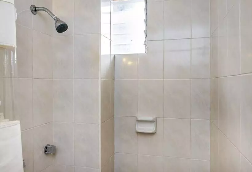 Capital O Hotel Central, Xalapa