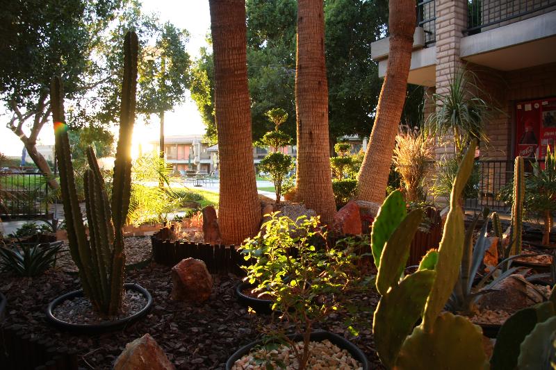 ホテル Colonial Mexicali