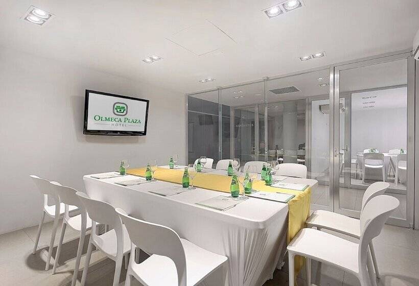 فندق Olmeca Plaza