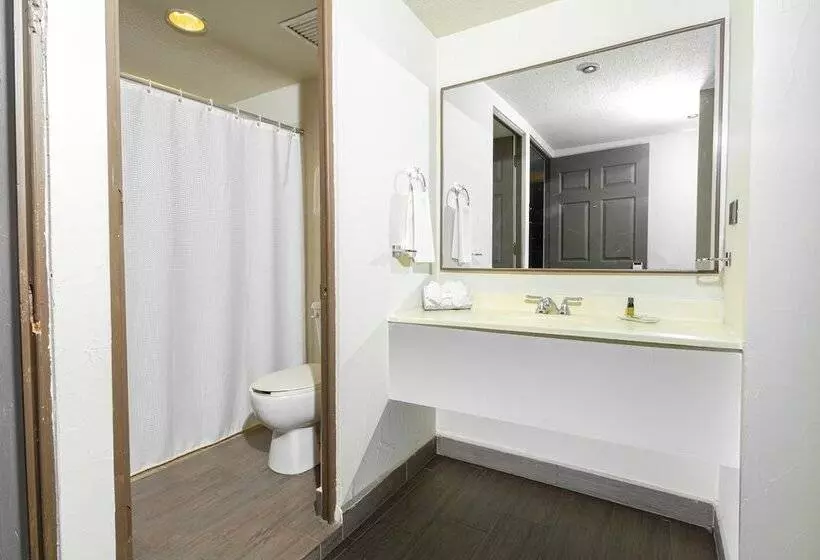 هتل Plaza Del Arco  Monterrey